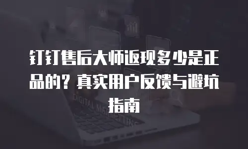 钉钉售后大师返现多少是正品的？真实用户反馈与避坑指南