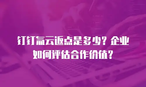 钉钉氚云返点是多少？企业如何评估合作价值？