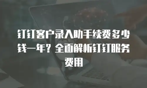 钉钉客户录入助手续费多少钱一年？全面解析钉钉服务费用