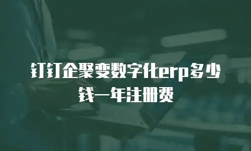 钉钉企聚变数字化erp多少钱一年注册费