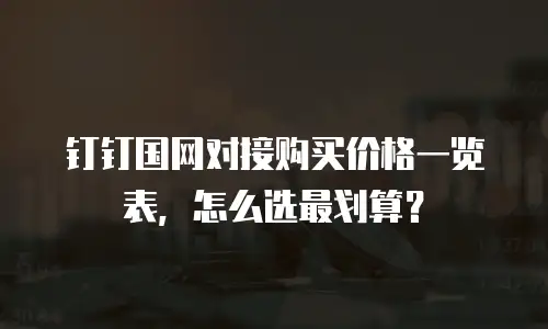 钉钉国网对接购买价格一览表，怎么选最划算？