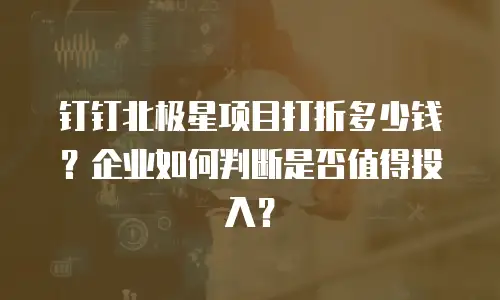 钉钉北极星项目打折多少钱？企业如何判断是否值得投入？