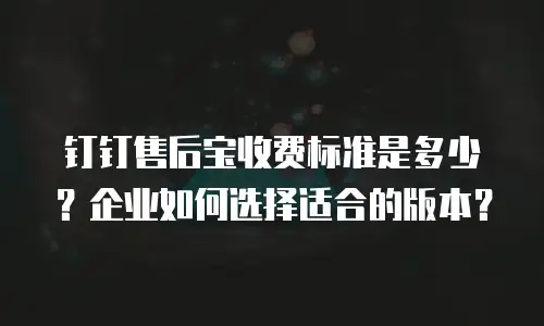 钉钉售后宝收费标准是多少？企业如何选择适合的版本？