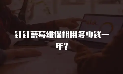 钉钉蓝莓维保租用多少钱一年？