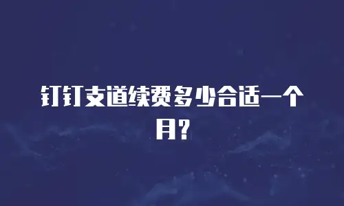钉钉支道续费多少合适一个月？