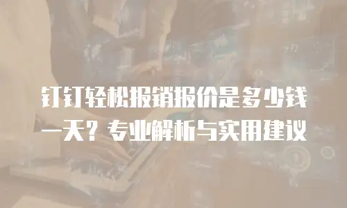 钉钉轻松报销报价是多少钱一天？专业解析与实用建议