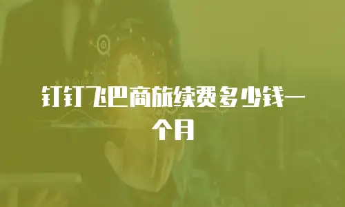 钉钉飞巴商旅续费多少钱一个月