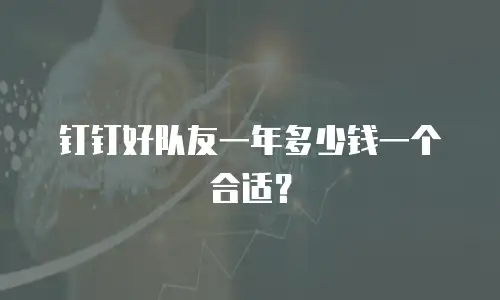钉钉好队友一年多少钱一个合适？