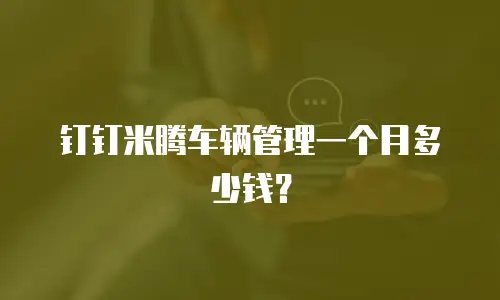 钉钉米腾车辆管理一个月多少钱？