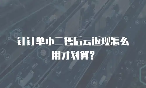 钉钉单小二售后云返现怎么用才划算？
