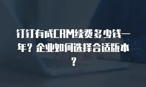 钉钉有成CRM续费多少钱一年？企业如何选择合适版本？