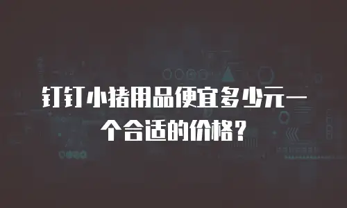 钉钉小猪用品便宜多少元一个合适的价格？
