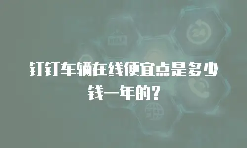 钉钉车辆在线便宜点是多少钱一年的？