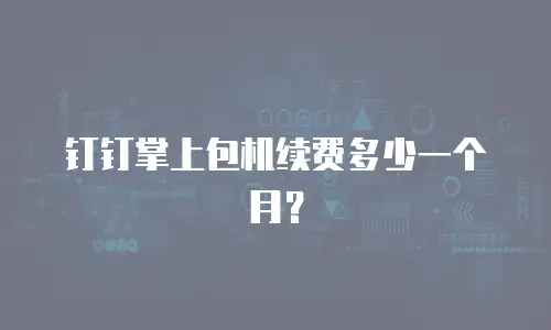 钉钉掌上包机续费多少一个月？