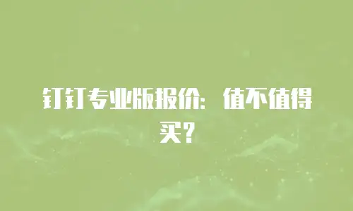 钉钉专业版报价：值不值得买？