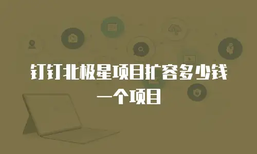钉钉北极星项目扩容多少钱一个项目