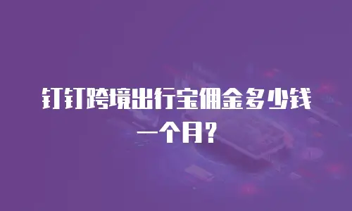 钉钉跨境出行宝佣金多少钱一个月？