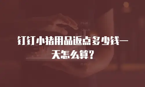 钉钉小猪用品返点多少钱一天怎么算？
