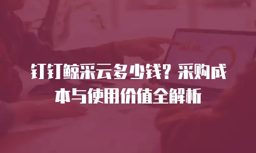 钉钉鲸采云多少钱？采购成本与使用价值全解析