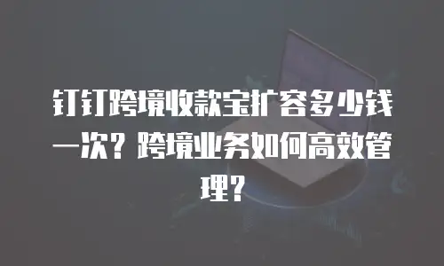 钉钉跨境收款宝扩容多少钱一次？跨境业务如何高效管理？