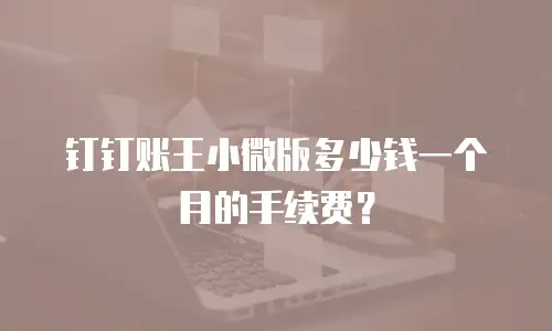 钉钉账王小微版多少钱一个月的手续费？