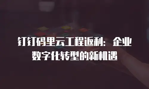 钉钉码里云工程返利：企业数字化转型的新机遇