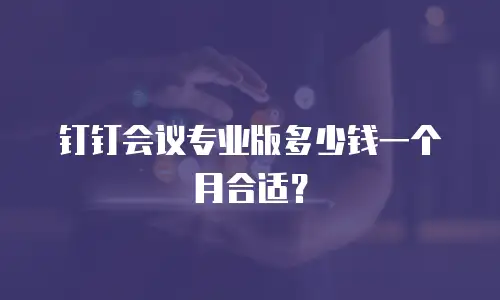 钉钉会议专业版多少钱一个月合适？