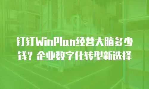 钉钉WinPlan经营大脑多少钱？企业数字化转型新选择