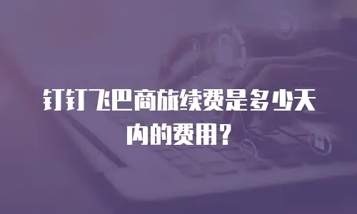 钉钉飞巴商旅续费是多少天内的费用？