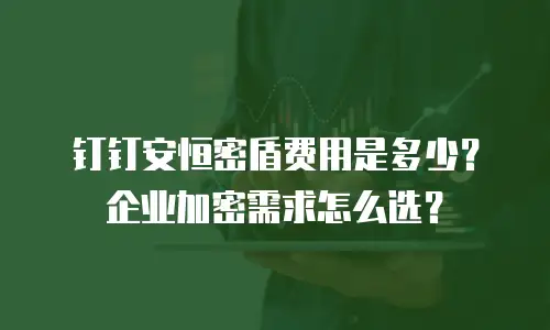 钉钉安恒密盾费用是多少？企业加密需求怎么选？
