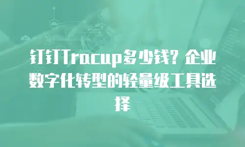 钉钉Tracup多少钱？企业数字化转型的轻量级工具选择