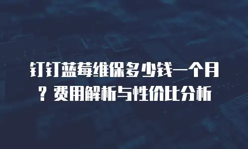 钉钉蓝莓维保多少钱一个月？费用解析与性价比分析