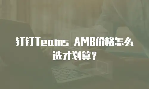 钉钉Teams AMB价格怎么选才划算？