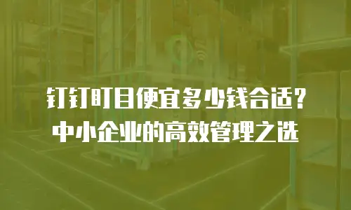 钉钉盯目便宜多少钱合适？中小企业的高效管理之选