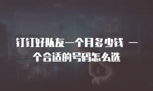 钉钉好队友一个月多少钱 一个合适的号码怎么选