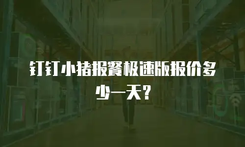 钉钉小猪报餐极速版报价多少一天？