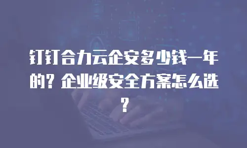 钉钉合力云企安多少钱一年的？企业级安全方案怎么选？