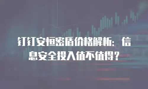 钉钉安恒密盾价格解析：信息安全投入值不值得？