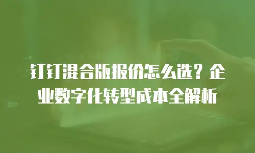 钉钉混合版报价怎么选？企业数字化转型成本全解析