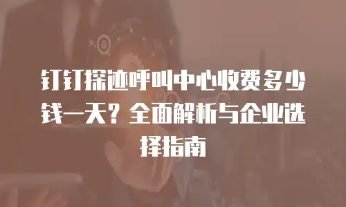 钉钉探迹呼叫中心收费多少钱一天？全面解析与企业选择指南