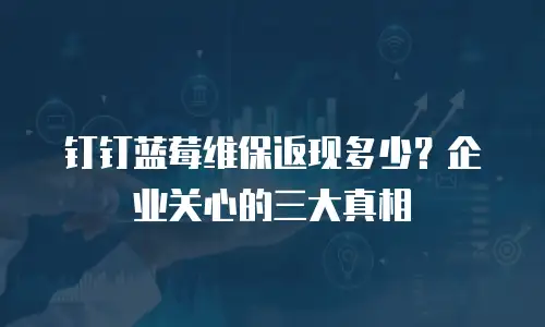 钉钉蓝莓维保返现多少？企业关心的三大真相