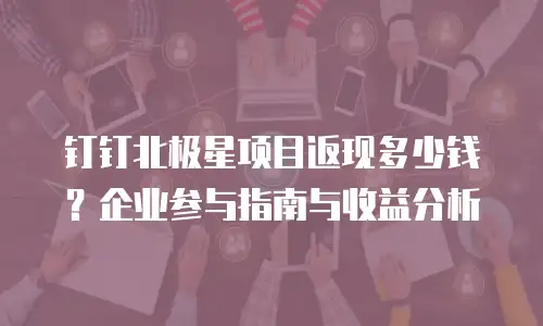 钉钉北极星项目返现多少钱？企业参与指南与收益分析