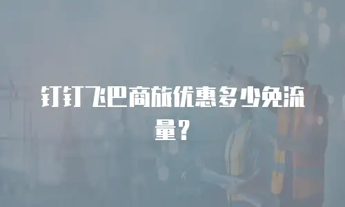 钉钉飞巴商旅优惠多少免流量？