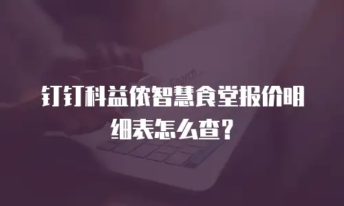 钉钉科益侬智慧食堂报价明细表怎么查？