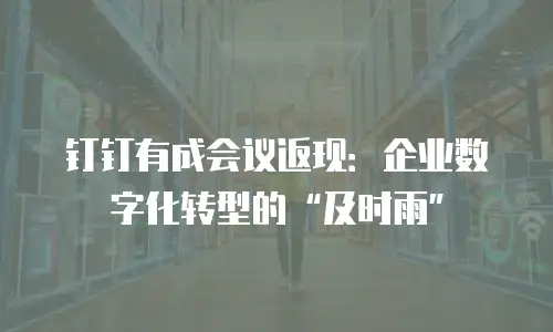 钉钉有成会议返现：企业数字化转型的“及时雨”