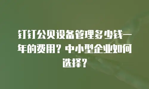 钉钉公贝设备管理多少钱一年的费用？中小型企业如何选择？