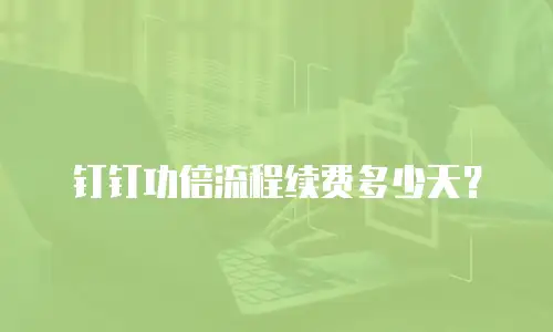 钉钉功倍流程续费多少天？
