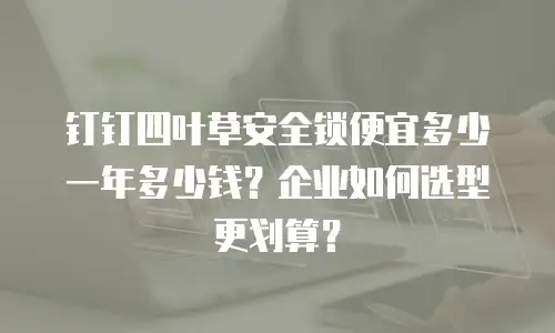 钉钉四叶草安全锁便宜多少一年多少钱？企业如何选型更划算？