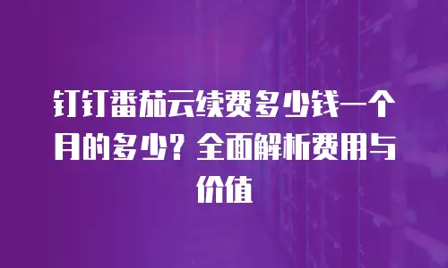 钉钉番茄云续费多少钱一个月的多少？全面解析费用与价值