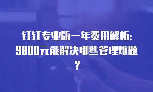 钉钉专业版一年费用解析：9800元能解决哪些管理难题？